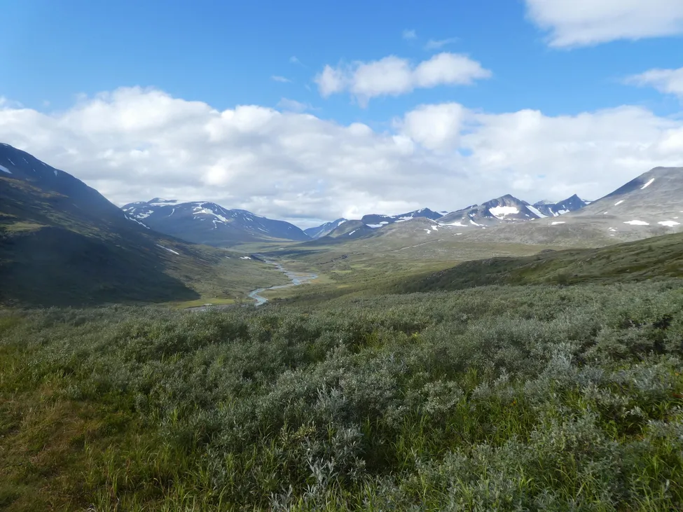 Klicka för att förstora