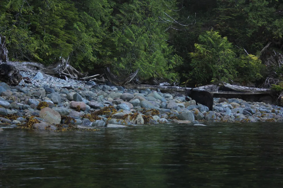 Klicka för att förstora