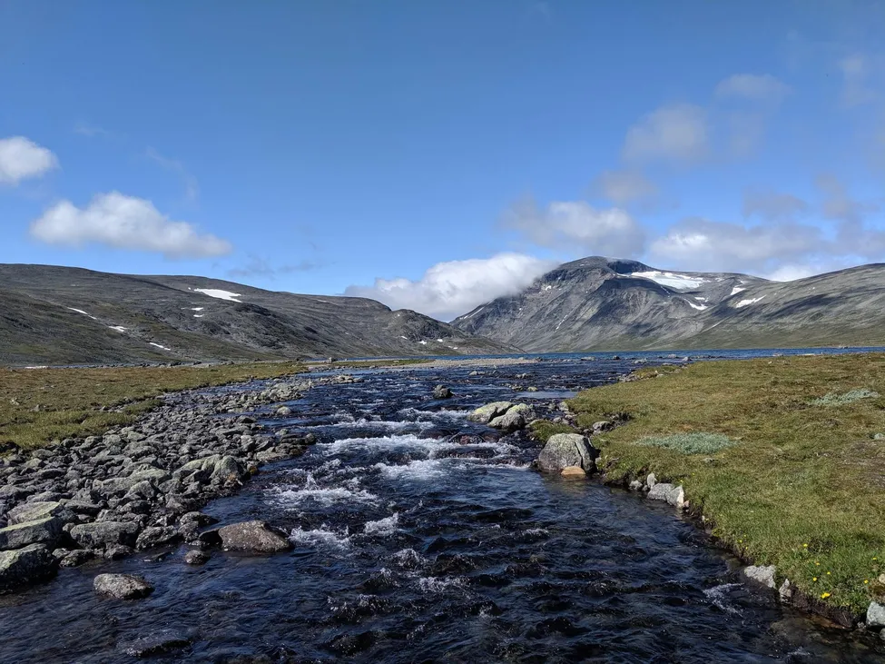 Klicka för att förstora