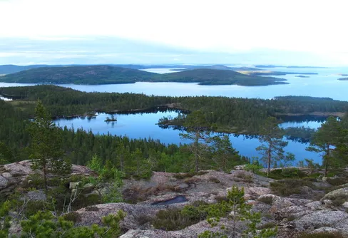 Skule Nationalpark - En plats du borde besöka.