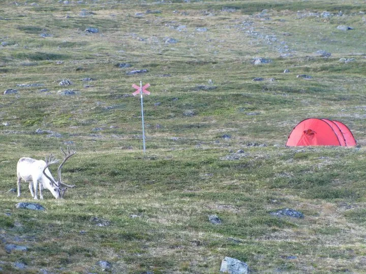 Klicka för att förstora