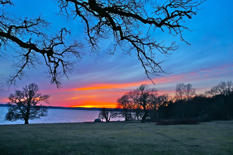 Klicka för att förstora