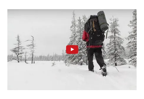 Film från Tjadnesvare naturreservat