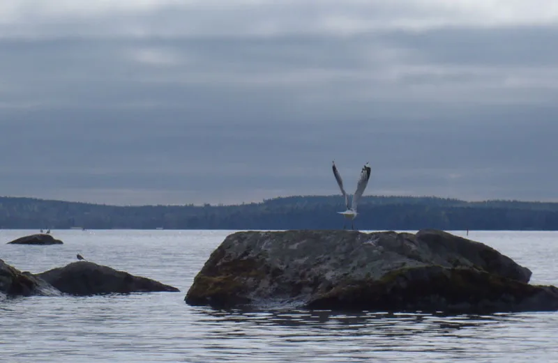 Klicka för att förstora