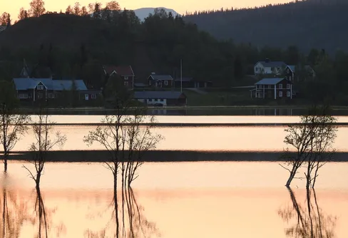 Nya kängor och fjäll poesi.