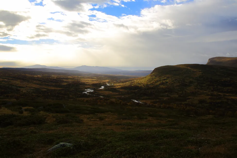 Klicka för att förstora