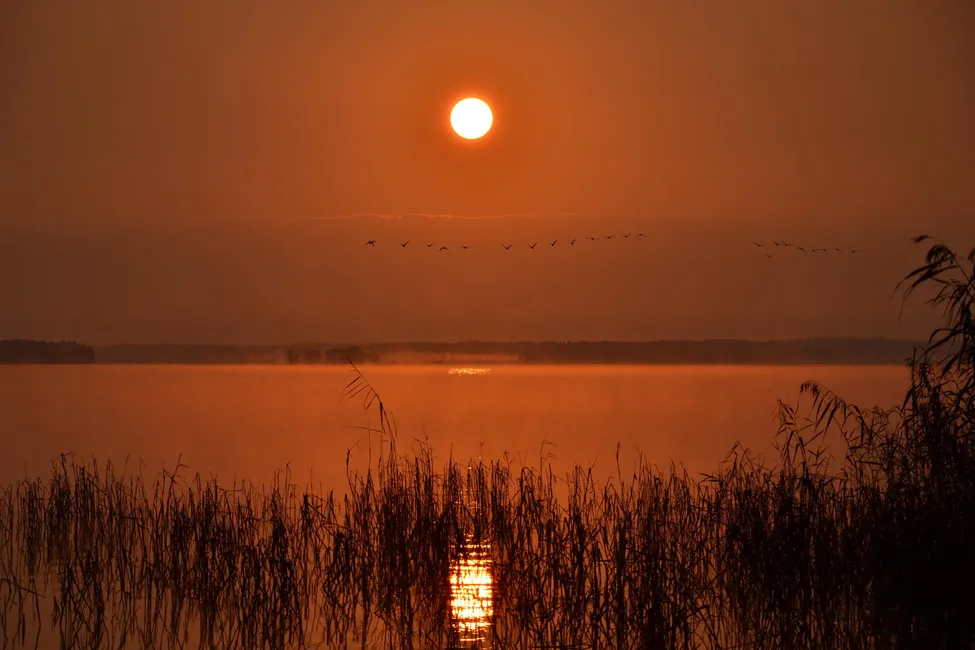 Klicka för att förstora