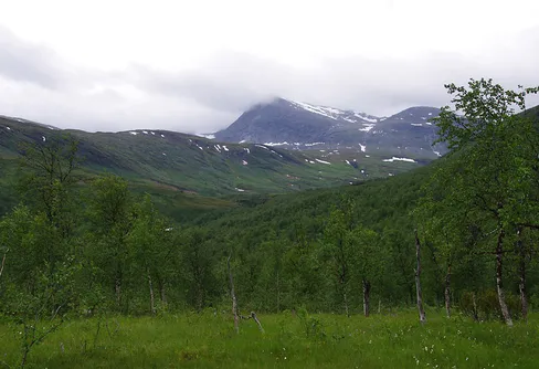 Oväntad vandring på Padjelantaleden (3)