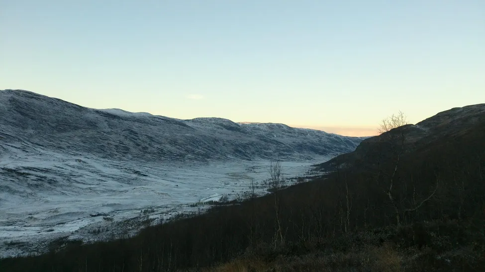 Klicka för att förstora