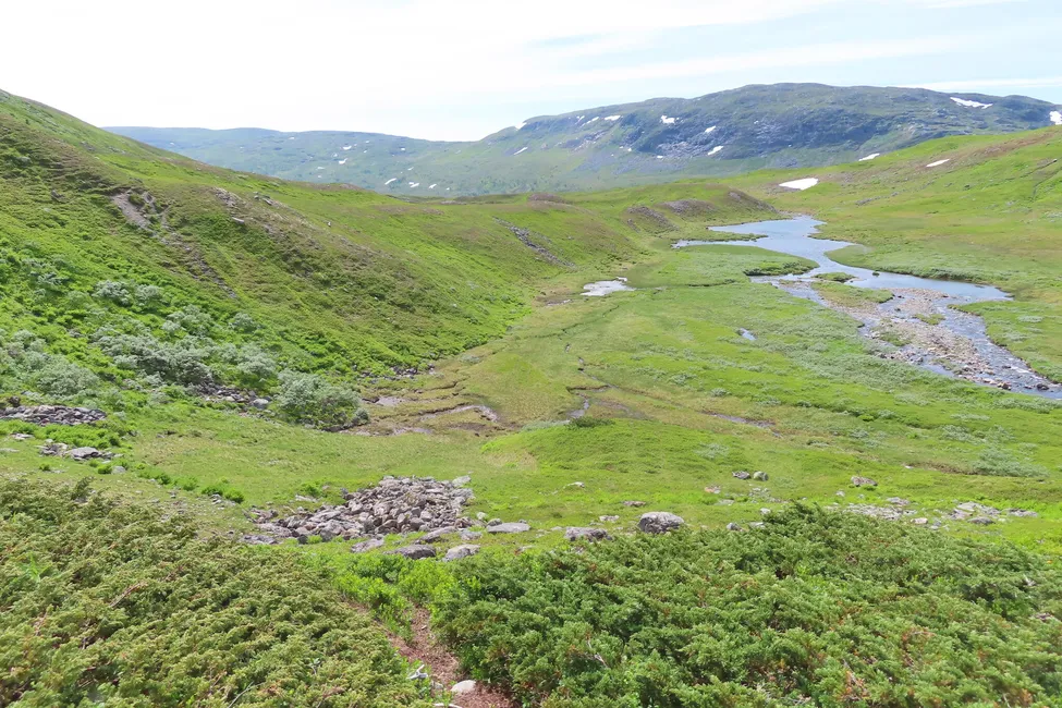 Klicka för att förstora