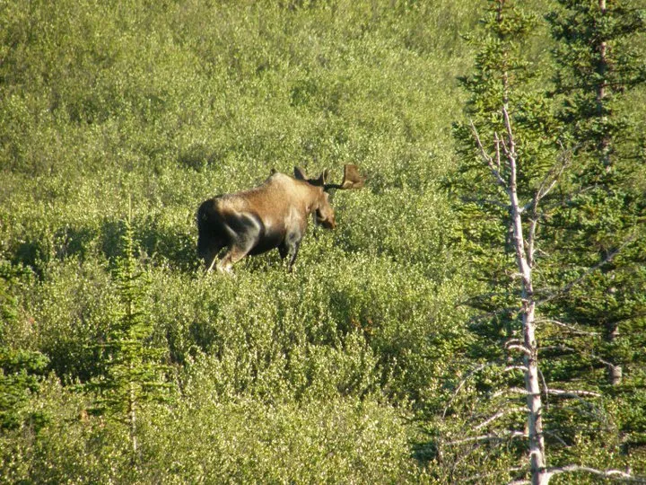 Klicka för att förstora