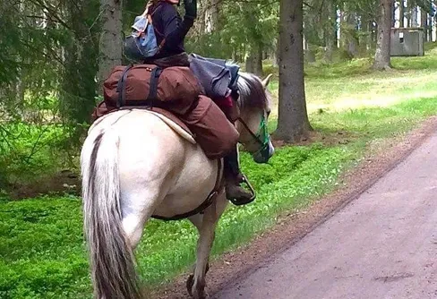Suzanna rider genom Sverige