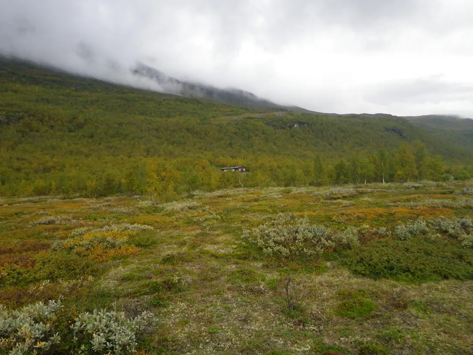 Klicka för att förstora