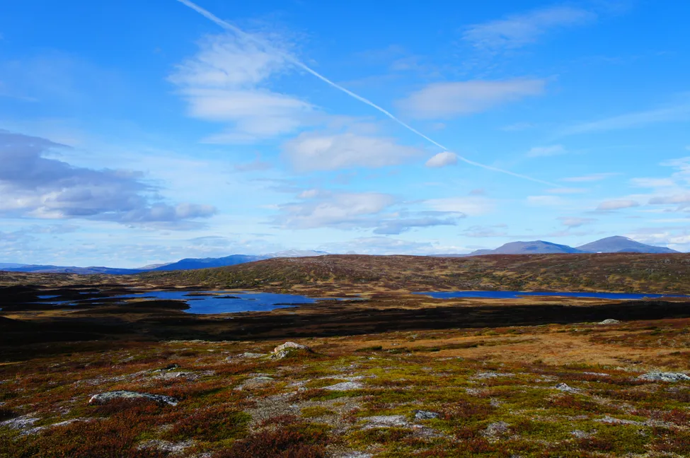 Klicka för att förstora