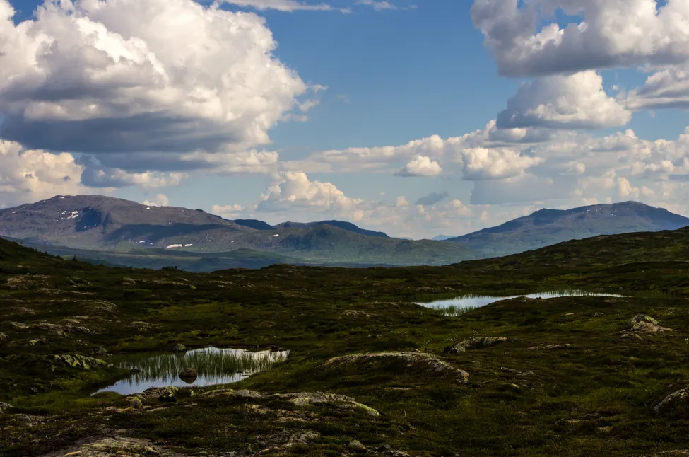 Klicka för att förstora