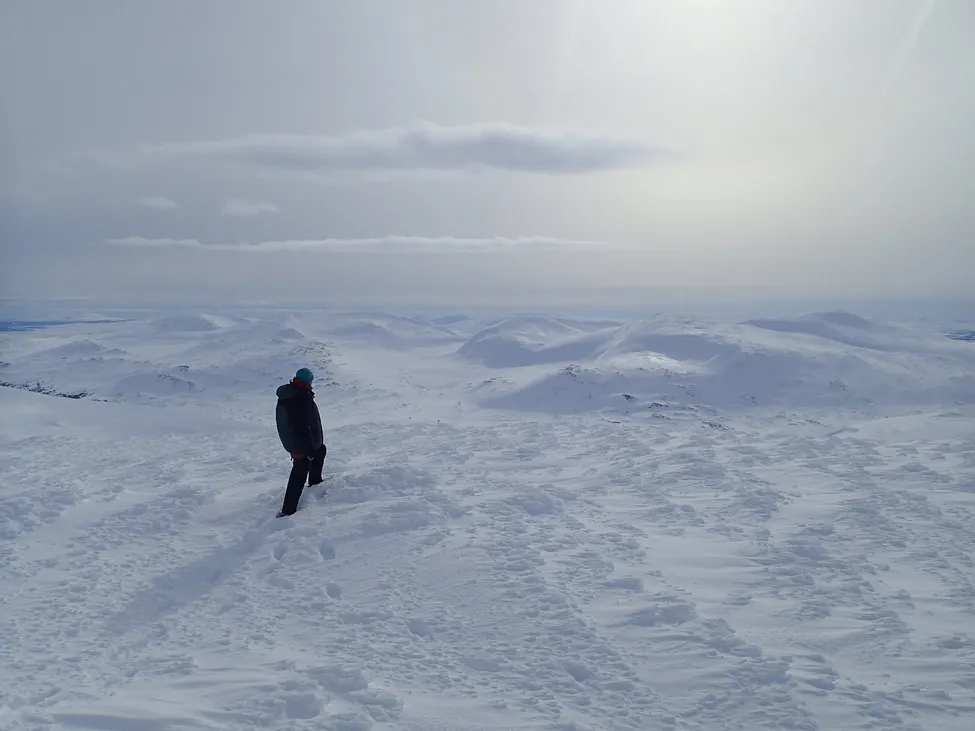 Klicka för att förstora
