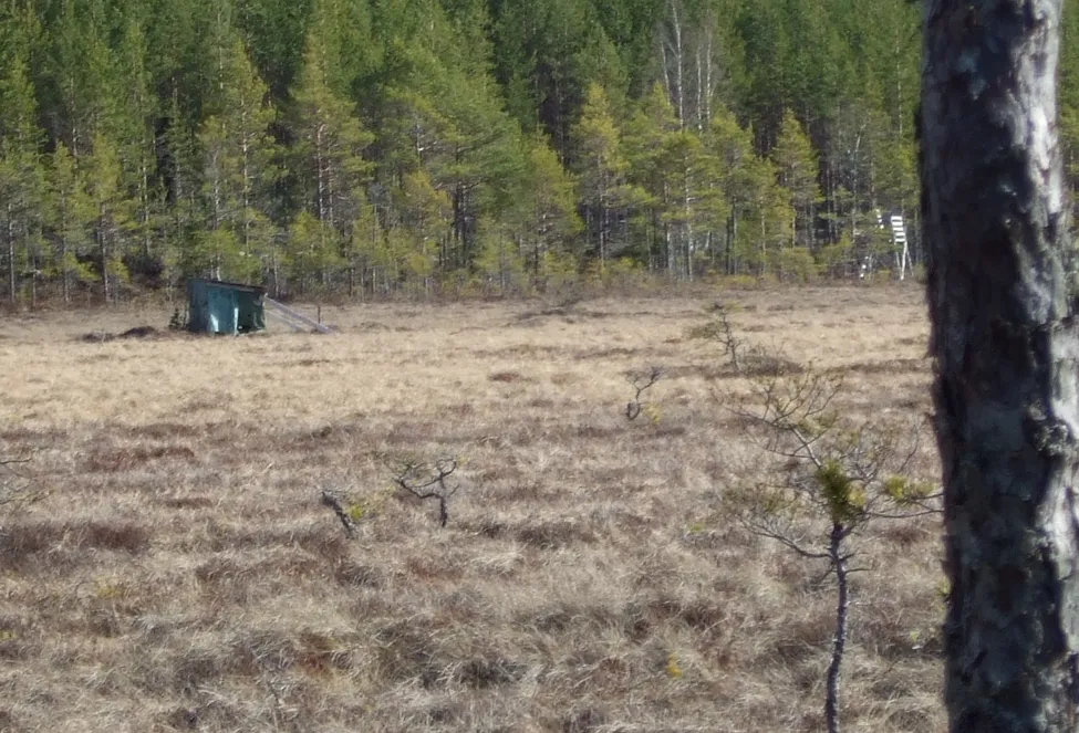 Klicka för att förstora