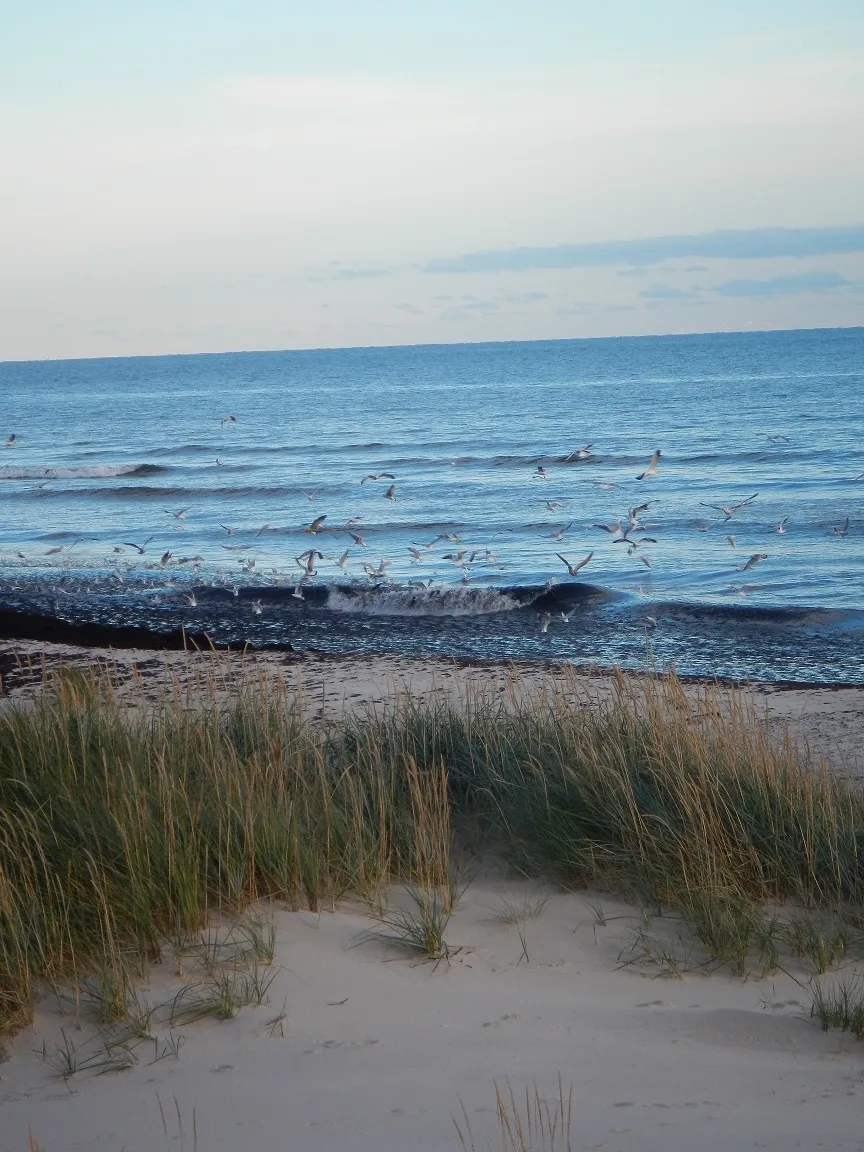 Klicka för att förstora