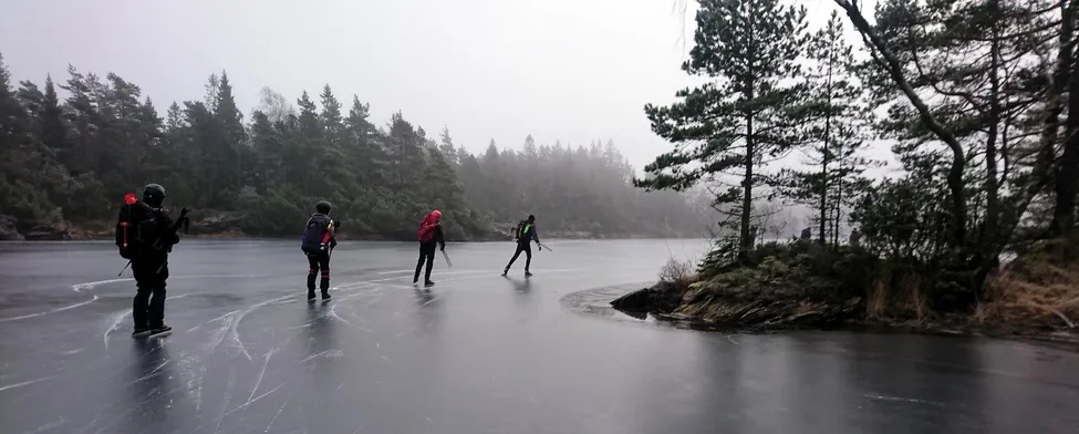 Klicka för att förstora