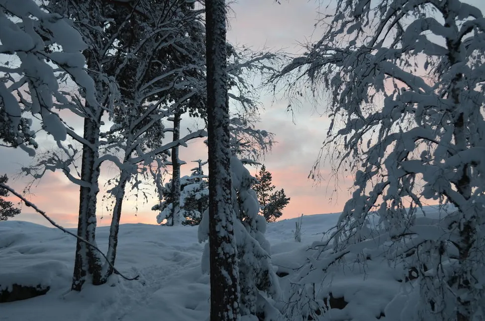 Klicka för att förstora