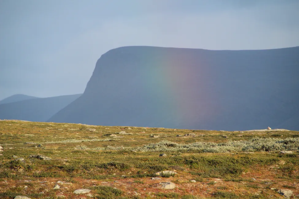 Klicka för att förstora