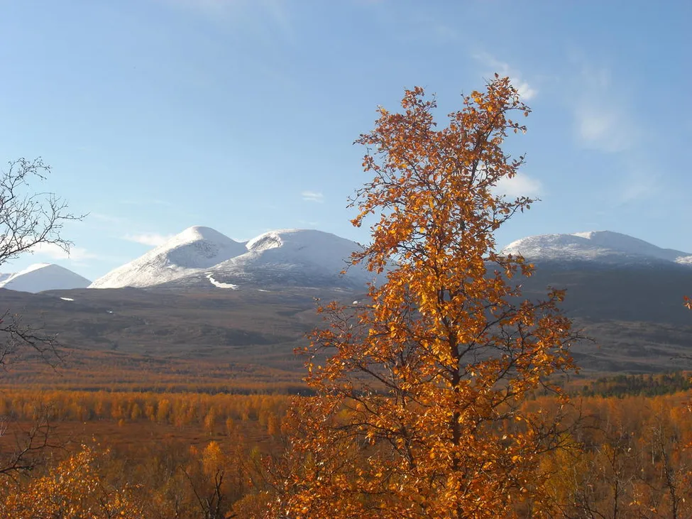 Klicka för att förstora