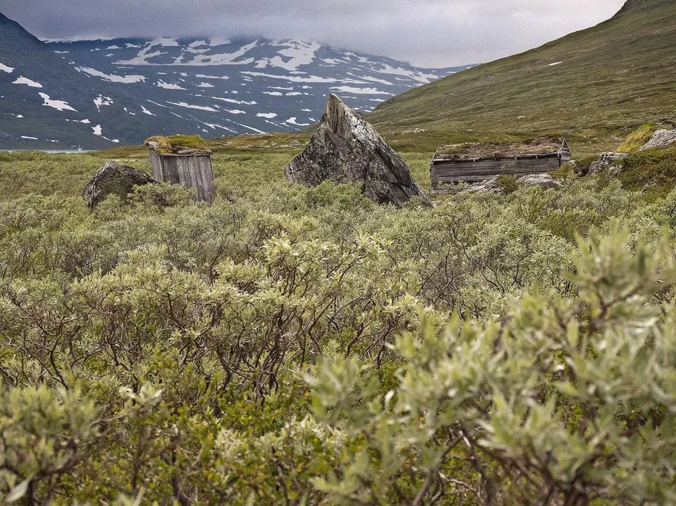 Klicka för att förstora