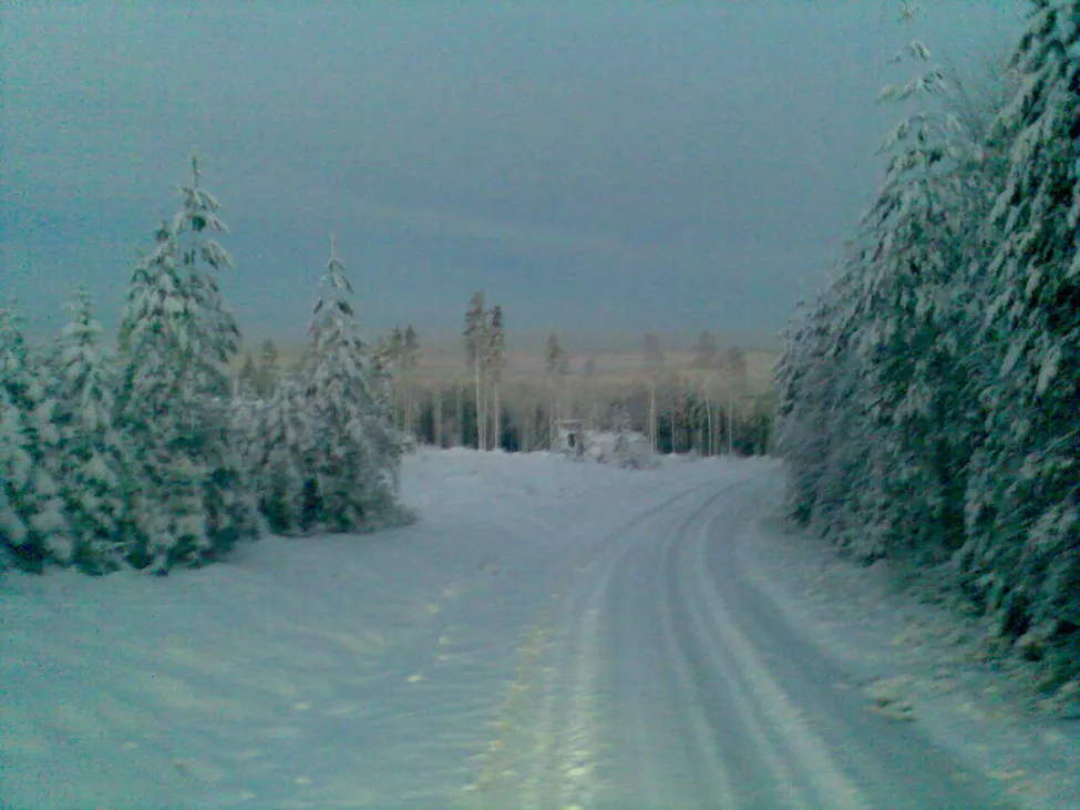 Klicka för att förstora
