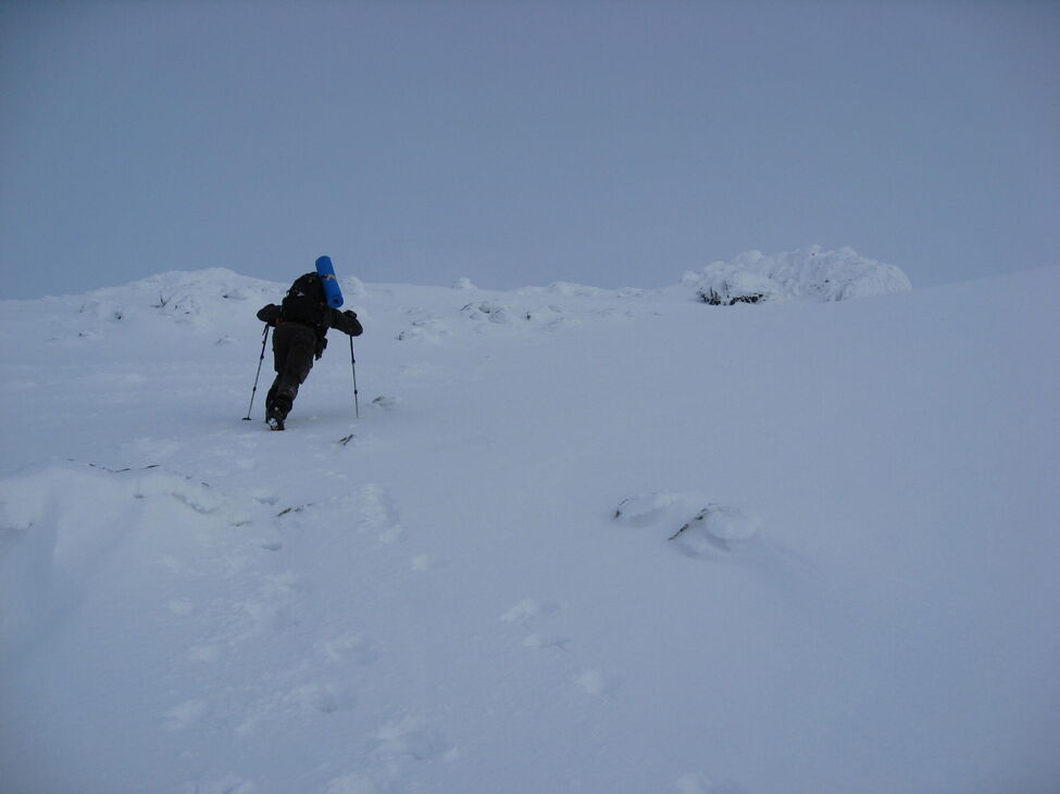 Klicka för att förstora