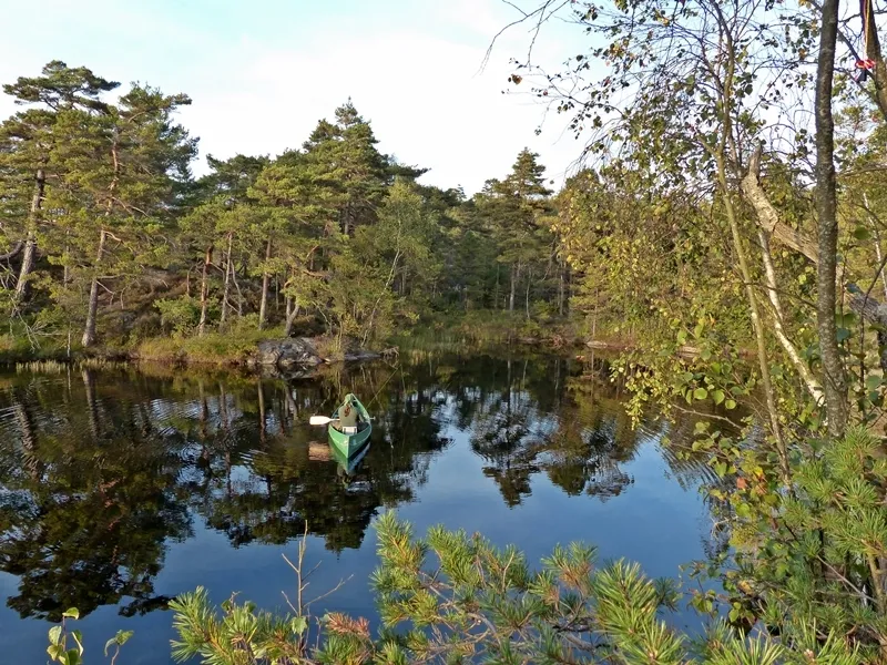 Klicka för att förstora