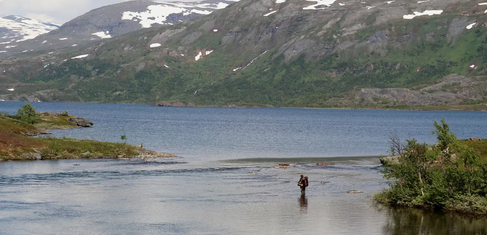 Klicka för att förstora