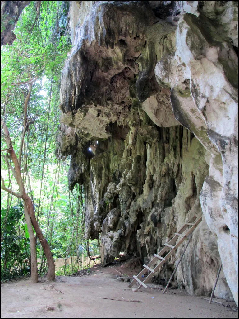 Klicka för att förstora