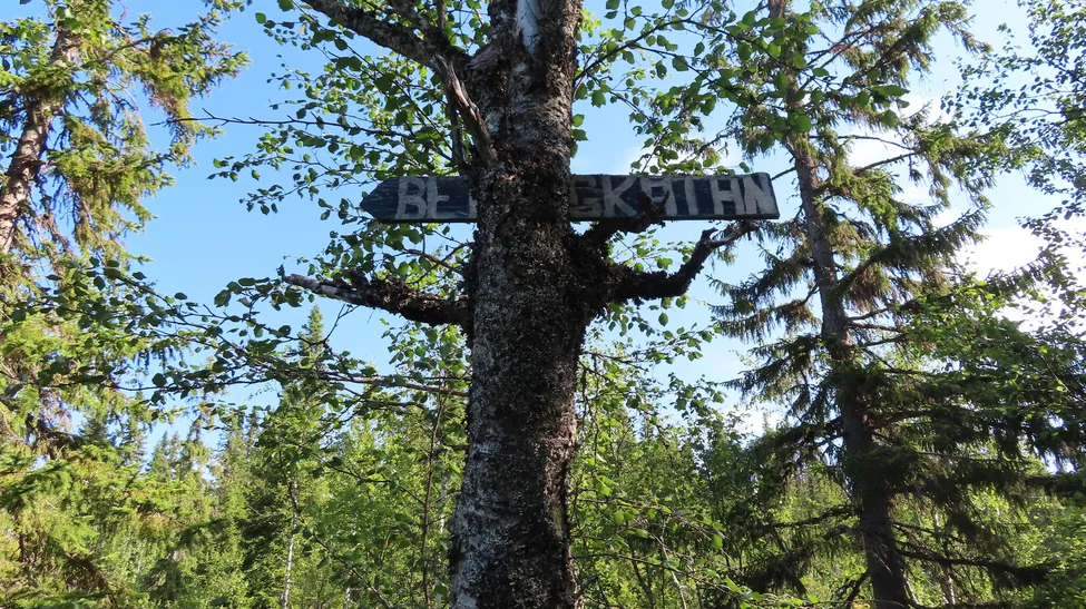 Klicka för att förstora