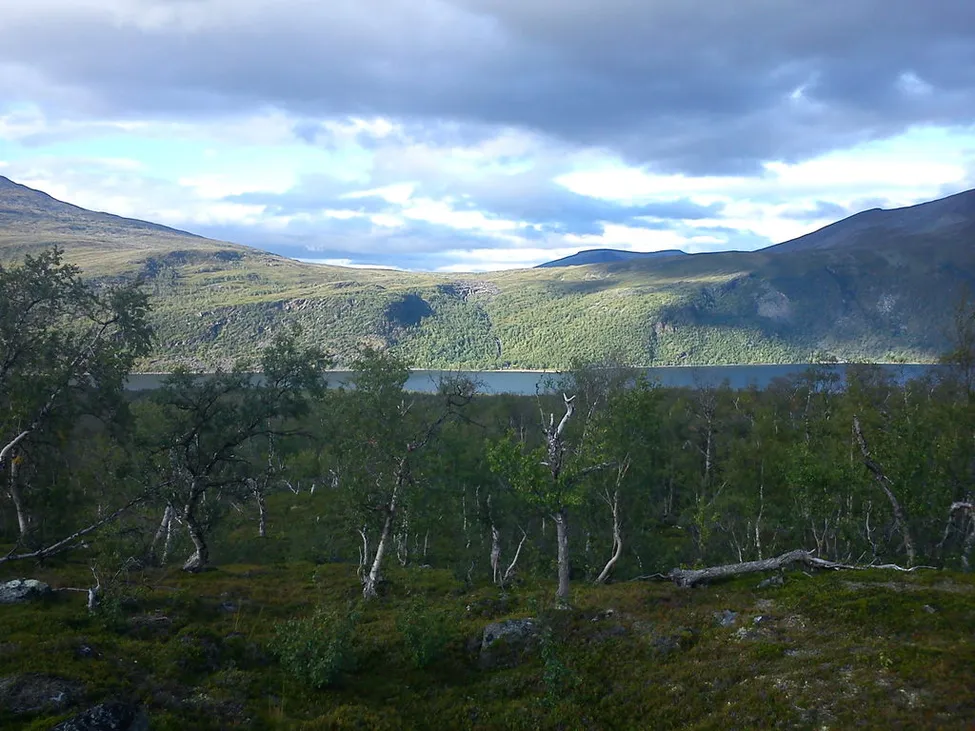 Klicka för att förstora