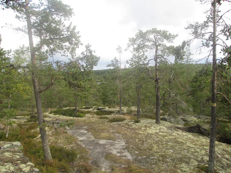 Klicka för att förstora