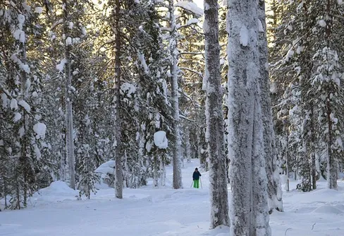 Många insatser banar väg för mer friluftsliv
