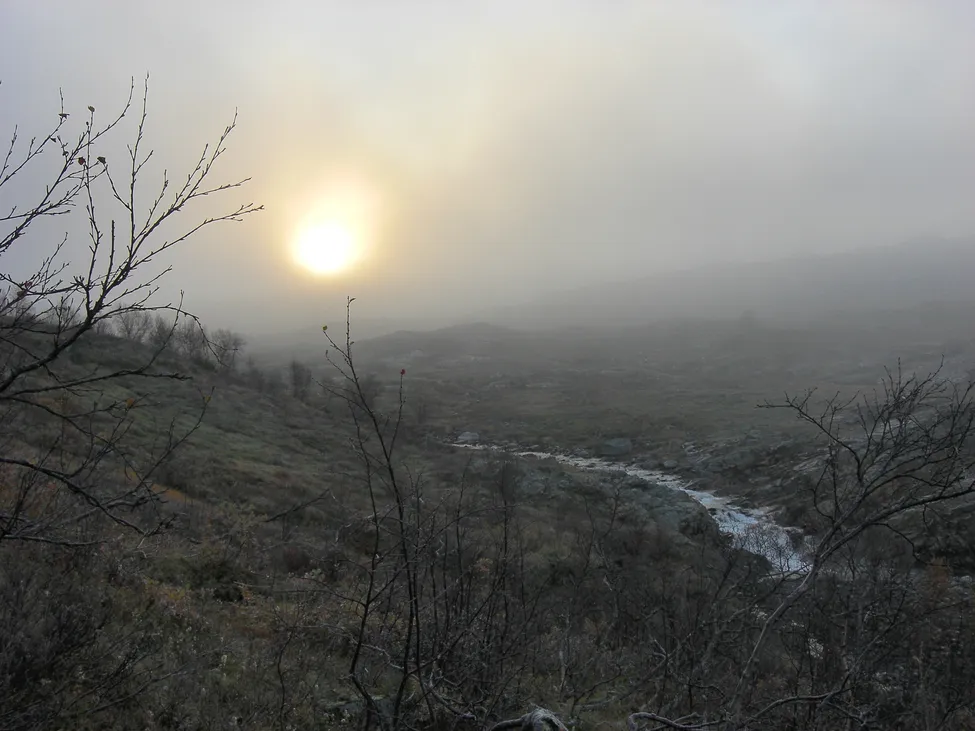 Klicka för att förstora