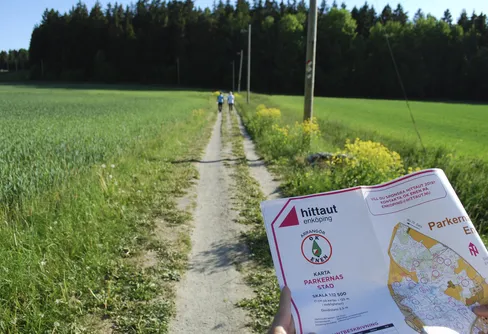 Hittaut nära 100 000 deltagare – 