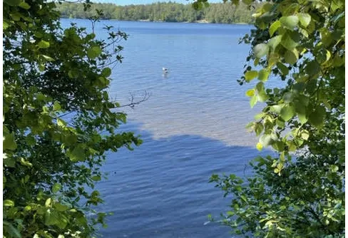 En tur runt Sisjön.