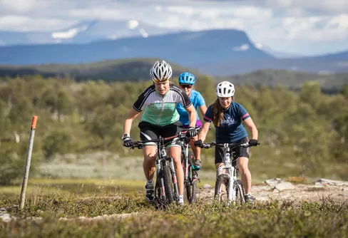 Samarbete kring nationell graderings- och skyltstandard för cykling