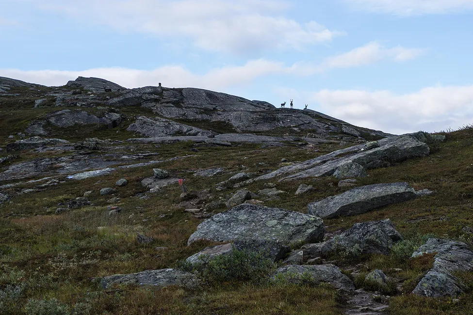 Klicka för att förstora
