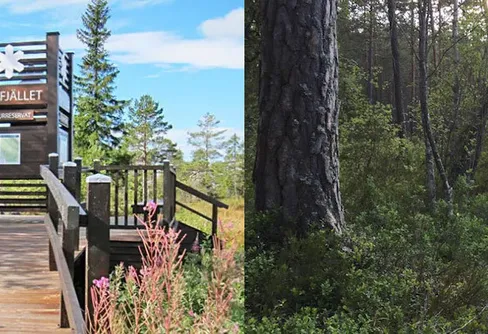 Vandringsleder och naturreservat invigs på lördag