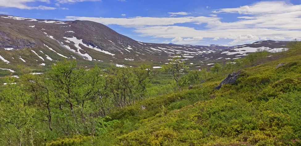 Klicka för att förstora