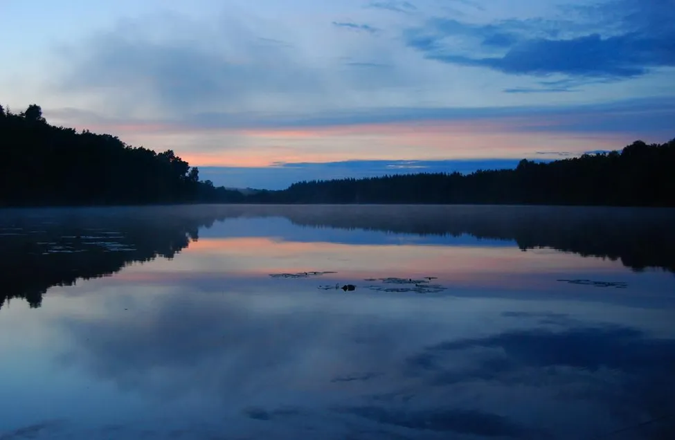 Klicka för att förstora