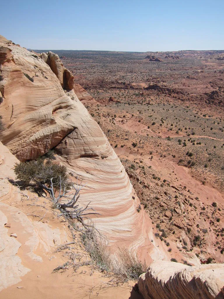 Klicka för att förstora