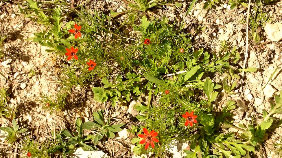 Klicka för att förstora