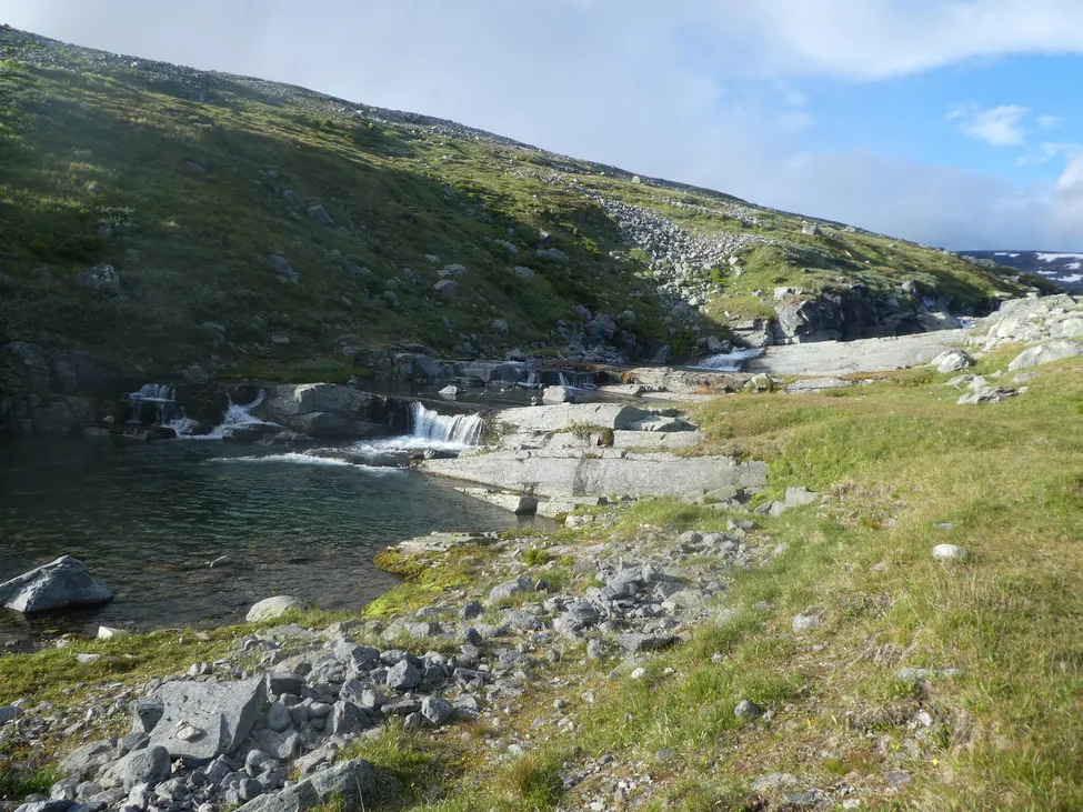 Klicka för att förstora