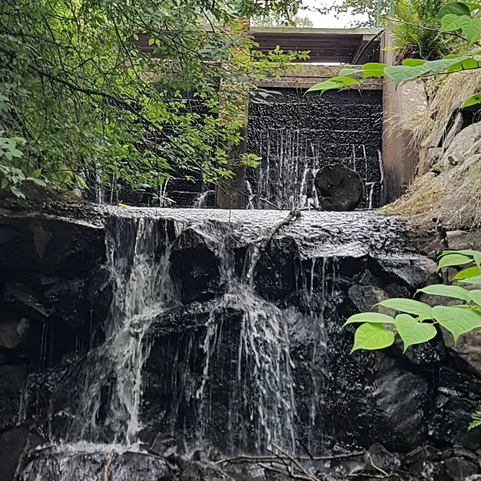 Klicka för att förstora