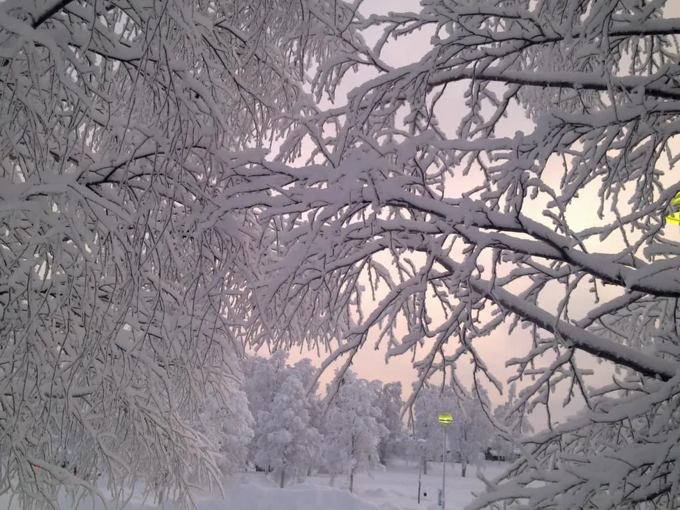 Klicka för att förstora