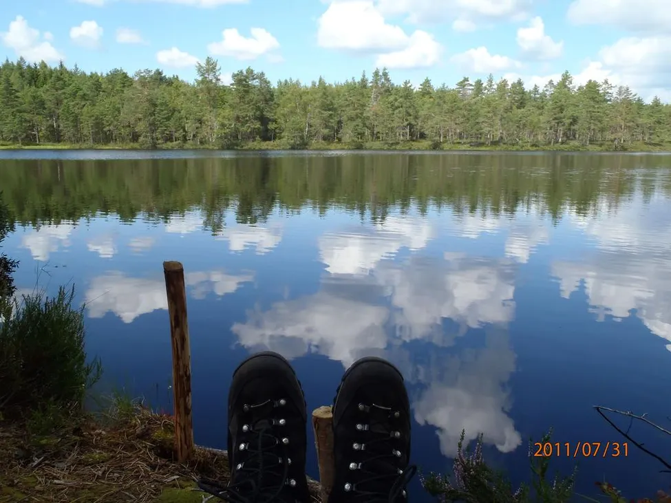 Klicka för att förstora